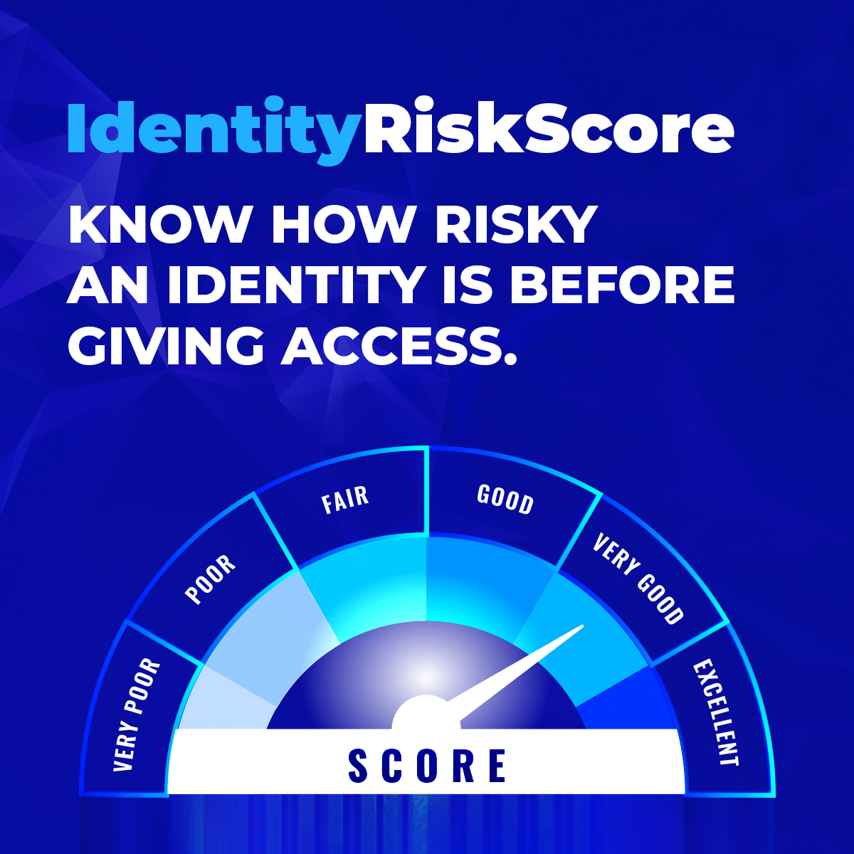 IdentityRiskScore